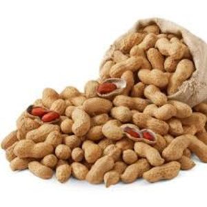 Peanuts/Groundnuts