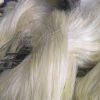 Sisal Fiber Grade 3L (3 Long)
