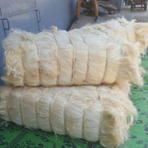Sisal Fiber Grade 3 Short