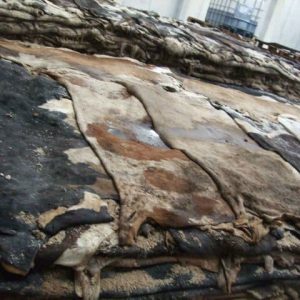 Cow Hides/Skins