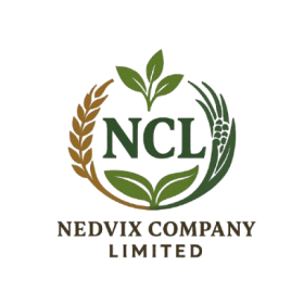 Nedvix Company Limited