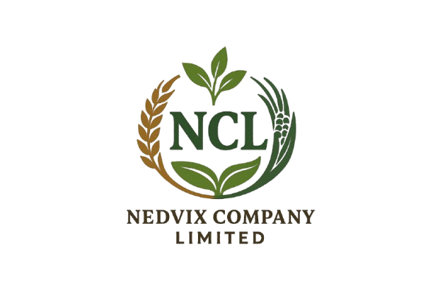 Nedvix Company Limited