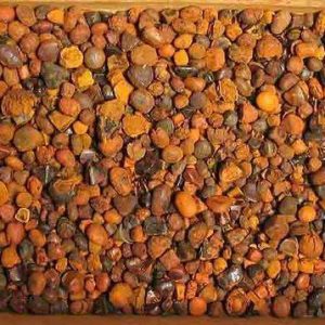 Ox Gallstones