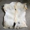 Raw Goat Skins