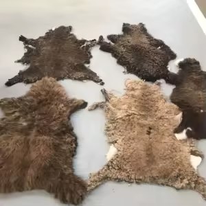 Sheep Skins