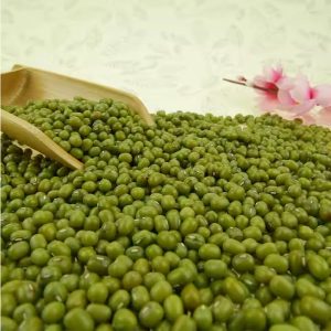 Green Mung Beans