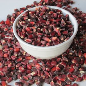Red Corn/Maize