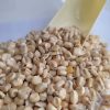 White Corn/Maize