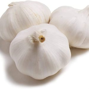 Normal White Garlic