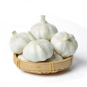 Pure White Garlic