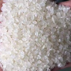 Round Rice