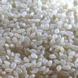 Short Grain Rice