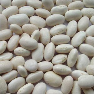 Cannellini Beans Alubia